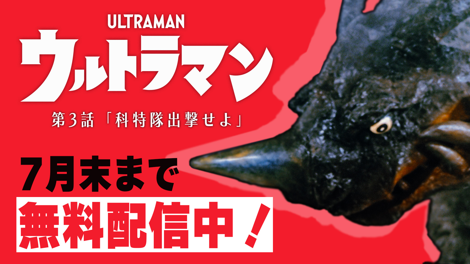 ウルトラセブン ソフビ マルサン 円谷プロ 特撮 ウルトラマンシリーズ 同時物 ウルトラマン歴代 一覧 ウルトラセブン ソフビ マルサン 美味